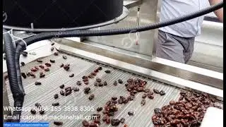 Industrial Fruit Date Washing Line Dates Washing And Drying Line