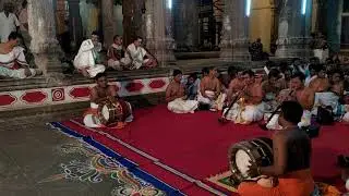 Carnatic live performance at Chidambaram Nataraja Temple | Arudra Darisanam