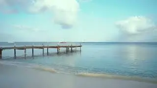 Relaxing Ocean Vibe 🌊