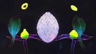 Pond -  Eye pattern blindness