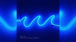 Sam Ray - Born in California