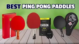 Top 5 Best Ping Pong Paddles for SPIN in 2025 (Review & Ranked)