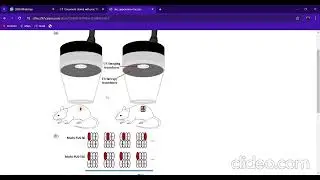 Teleophthalmology