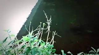 Autoawesome Move from mobile portrait landscale