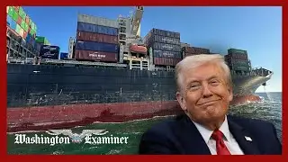 Трамп заявил, что США не будут вводить налог на выбросы углерода в судоходной отрасли