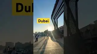 Inside Dubai's Al Ras Spicy Market - The World's Hottest Market