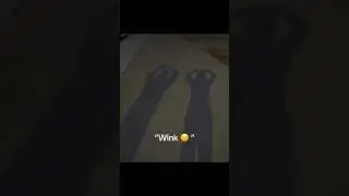 He Used 100% of His Brain