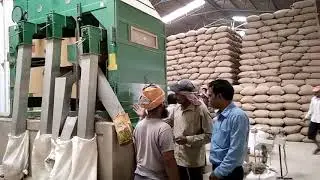 Paddy Seeds Grading Process