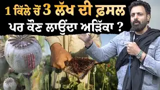 1 ਕਿੱਲੇ ਚੋਂ 3 ਲੱਖ ਦੀ ਕਮਾਈ ਪਰ ਸਲਾਹਾਂ ਦੇਣ ਵਾਲੇ ਨਹੀਂ ਚਾਹੁੰਦੇ ਪੰਜਾਬੀ ਕਿਸਾਨ ਅਮੀਰ ਹੋਣ