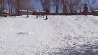 Sledding at Mid Shooks Run Park