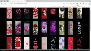 Kunde Werden Bei Vegas Cosmetics