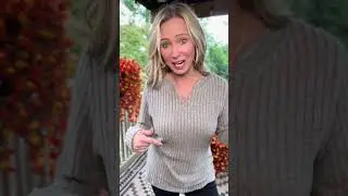 Essential Long Sleeve Shirts for Fall Style #basicshirt #longsleeve