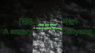 [일상기록]단양 '함박눈'(A snowy night in Danyang) 기분 좋은 영상(기분 좋아지는 영상) 행복한 영상(행복해지는 영상) #shorts #기분좋은영상