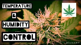 Controlling your humidity and temperature for indoor cannabis