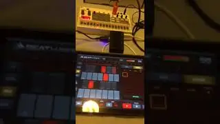 BeatHawk app sequencing volca