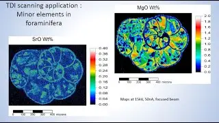 Probe Software Webinar: TDI Corrections and Quant Mapping