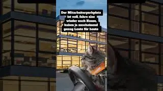 Reicht ja😅😂 #viral #fyp #humor #spa&szlig;amleben #spa&szlig;mussein #work