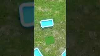 WORLD RECORD Golf Putt