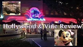 Hollywood & Vine Review - Disney's Hollywood Studios