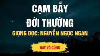 Cực Hay Nguyễn Ngọc Ngạn - Cạm Bẫy Đời Thường - Kể Chuyện Đêm Khuya