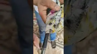 ازى تحل انكودر الشفاف الا فى الباب الامامى وتنظفه وتركبه طابعه hp