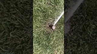 How Your Replacement Sprinkler Head Should Work
