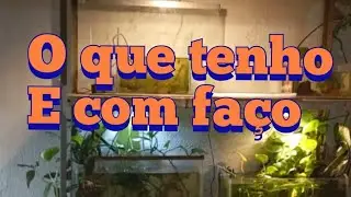 O que tenho hoje 