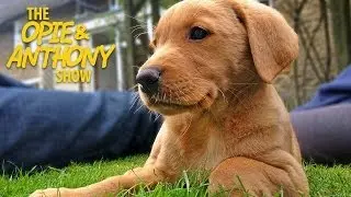 Opie & Anthony: Let's Talk About Pets (01/23/14)