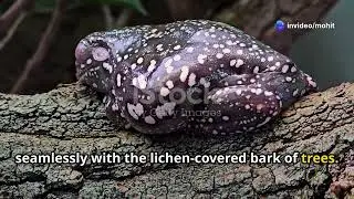 India's endemic species -upsc