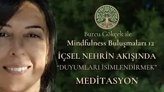 İ&Ccedil;SEL NEHRİN AKIŞINDA: DUYUMLARI İSİMLENDİRMEK | MEDİTASYON #mindfulnessbuluşmaları 12