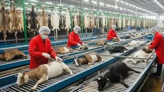 FULL PROCESS  Inside the Goat Leather Factory &ndash; From Raw Hide to Luxury Jacket