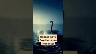 Первая фотография Лох-Несского чудовища #shorts #история #деньвистории
