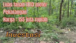 INVESTASI ( LUAS TANAH 1813 METER ) ISIAN POHON JATI HARGA 155 JUTA @rajiproperty channel