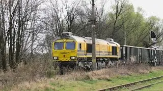 Class 66 i Koleje Dolnośląskie na bezdruciu w Legnicy