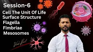 Surface Structures of Bacteria | Flagella, Pili, Fimbriae & Mesosomes Explained | NEET | CBSE