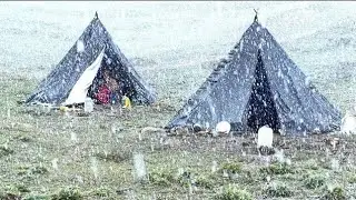 Best Life in A Himalayan Village During the Snowfall Season | Yarchagumba hunter Documentary Video l