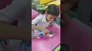 grow plants #save environment #environment EVs activity