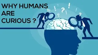 WHY HUMANS ARE SO CURIOUS | Understanding the science of curiosity | Power of curiosity
