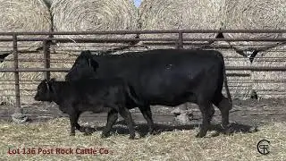 Lot 136 Post Rock Cattle Co