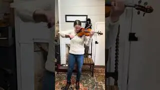 2024 Luca Zerilli Violin