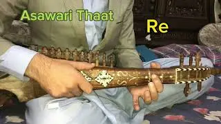 Asawari Thaat || Alankar 1 || Rabab covers