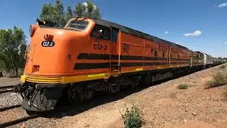 CLF2 walk Condobolin NSW.  Sat 02nd Nov 2024