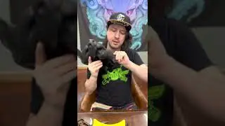 Snap Jaw Neck Expansion (1/2)