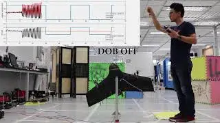 H&infin; Based DOB Design for Non-minimum Phase Systems with Application to UAV Attitude Control