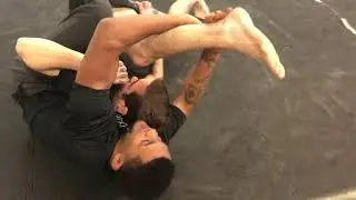 Suloev Stretch | Patchy 