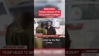 Hamas releases all 20 living Israeli hostages