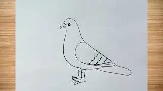 How to draw pigeon drawing easy step by step@DrawingTalent