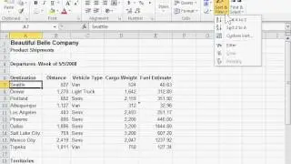 Excel 2010  Sort Text
