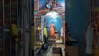 சுபங்கள் தரும் சுக்கிர பிரதோசம் #பிரதோசம #ஓம்நமச்சிவாய #சிவாயநம #நந்தி 