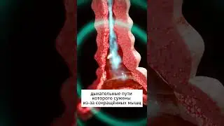 Как работает ингалятор при астме